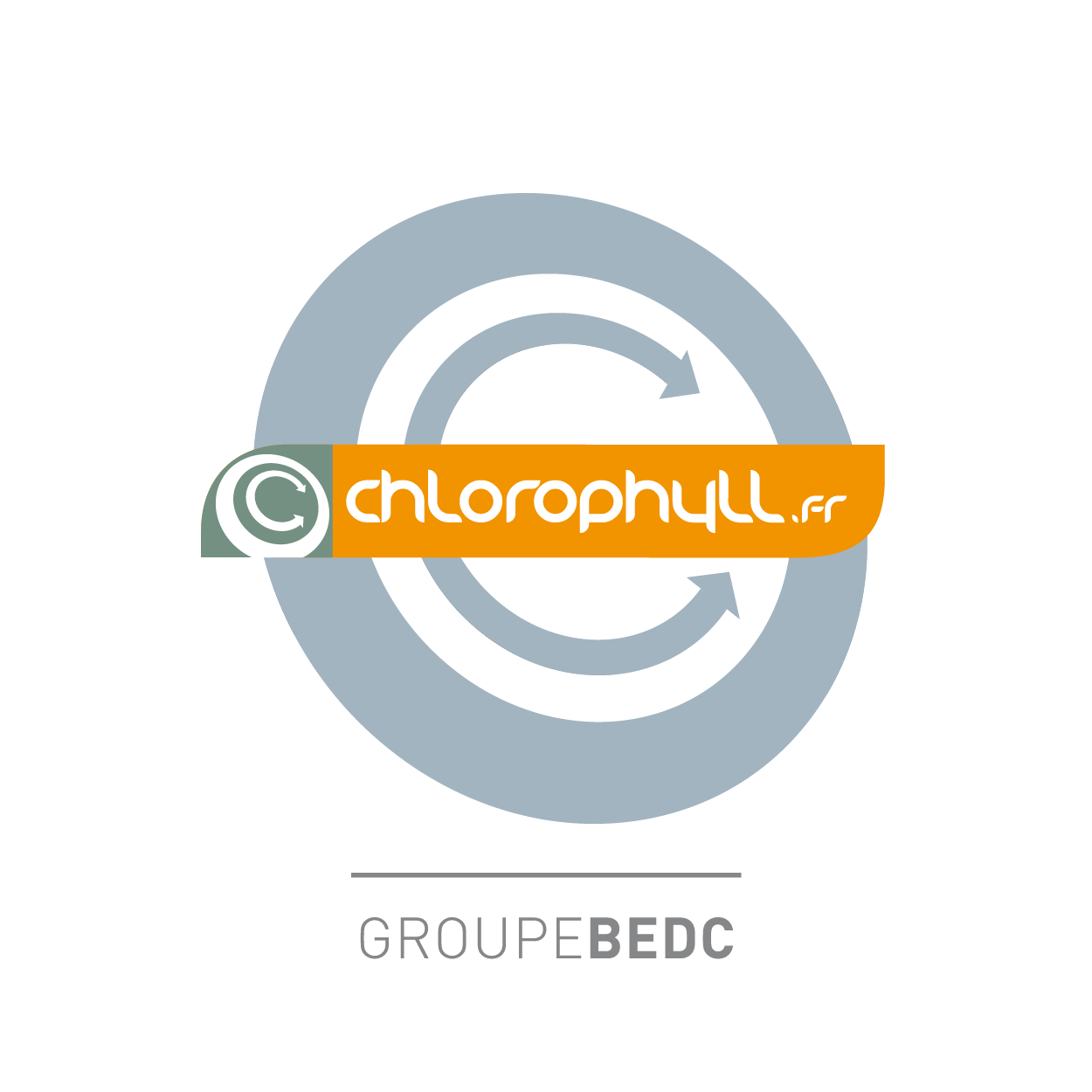 Logo de l'agence Chlorophyll